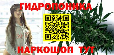 apvp Пенза
