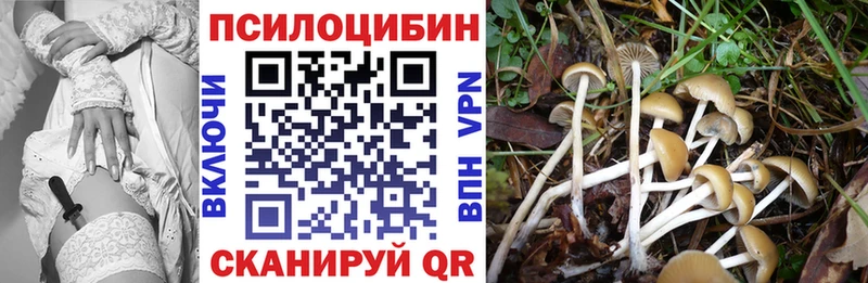 Галлюциногенные грибы ЛСД  Тихвин 