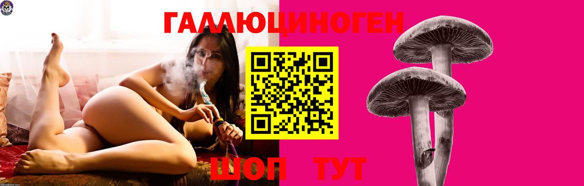 Галлюциногенные грибы GOLDEN TEACHER Тихвин